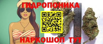 трава Аргун