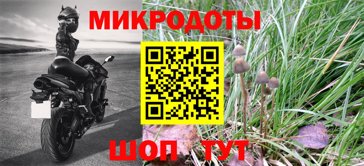 Видное  Псилоцибиновые грибы Cubensis  Вход с VPN  Псилоцибиновые грибы Psilocybe 