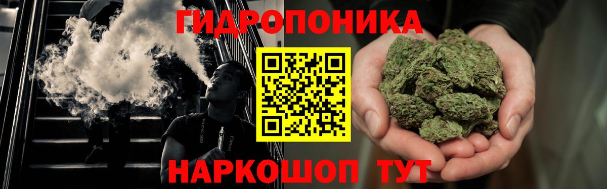 Бошки Шишки конопля  Вход с VPN  Видное  Бошки Шишки OG Kush  МАРИХУАНА семена  Конопля MAZAR 